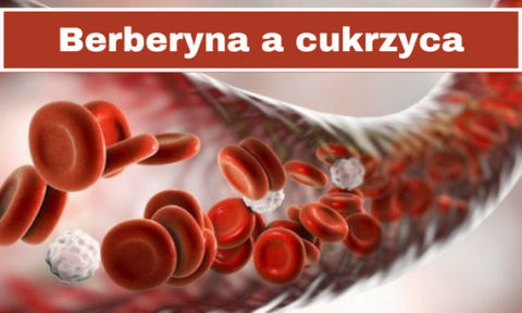 Berberyna – przy cukrzycy, insulinoodporności, nadwadze Berberyna – przy cukrzycy, insulinoodporności, nadwadze