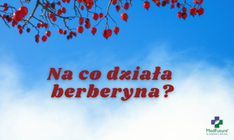 Berberyna Ekstrakt 98% 500 mg 60 kapsułek - Medfuture Berberyna Ekstrakt 98% 500 mg 60 kapsułek - Medfuture