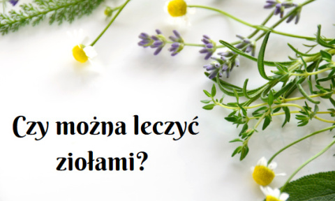Na czym polega ziołolecznictwo? Na czym polega ziołolecznictwo?