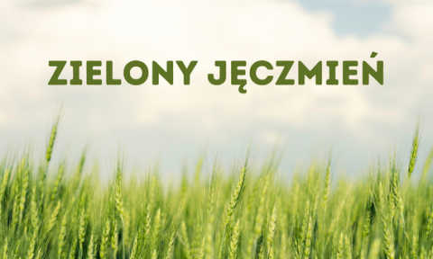 Młody zielony jęczmień BIO sproszkowane liście 250 g - Medfuture Młody zielony jęczmień BIO sproszkowane liście 250 g - Medfuture