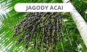 Acai Berry Strong Ekstrakt 400 mg 90 tabletek - Medfuture (Jagody Acai)
