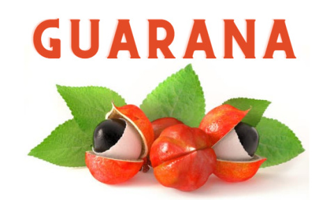 Guarana Ekstrakt 500 mg 60 kapsułek - Pureline Nutrition Guarana Ekstrakt 500 mg 60 kapsułek - Pureline Nutrition