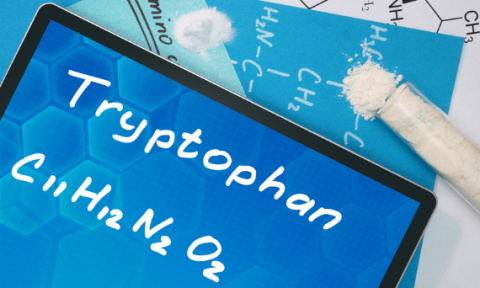 L-tryptofan Ekstrakt 500 mg 60 kapsułek - Pureline Nutrition L-tryptofan Ekstrakt 500 mg 60 kapsułek - Pureline Nutrition