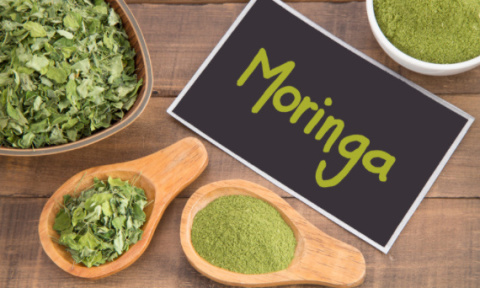 Moringa proszek BIO 200 g - Medfuture Moringa proszek BIO 200 g - Medfuture