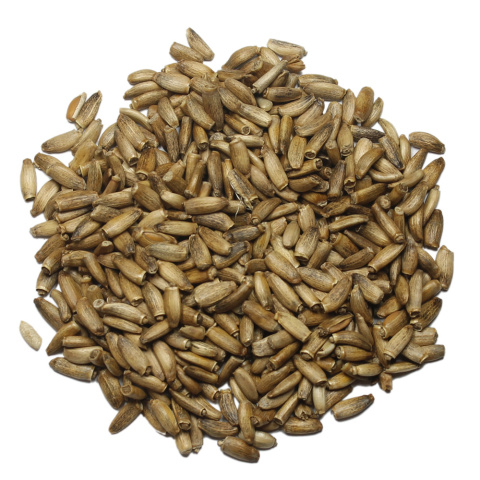 Ostropest plamisty (ziarno całe) - 1000 g Ostropest plamisty (ziarno całe) - 1000 g