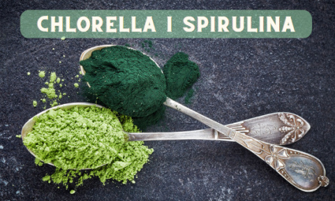 Spirulina BIO proszek 100 g - Medfuture Spirulina BIO proszek 100 g - Medfuture