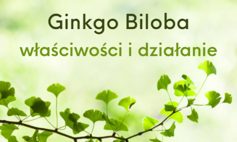 Ginkgo Biloba Ekstrakt 120 mg 120 tabletek - Medfuture (Miłorząb japoński) Ginkgo Biloba Ekstrakt 120 mg 120 tabletek - Medfuture (Miłorząb japoński)