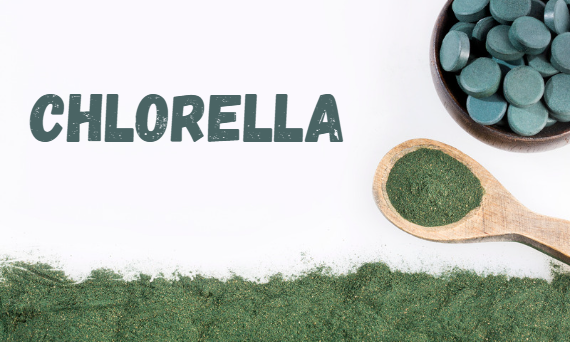 Chlorella - co to jest? Właściwości i zalety tej cudownej algi.